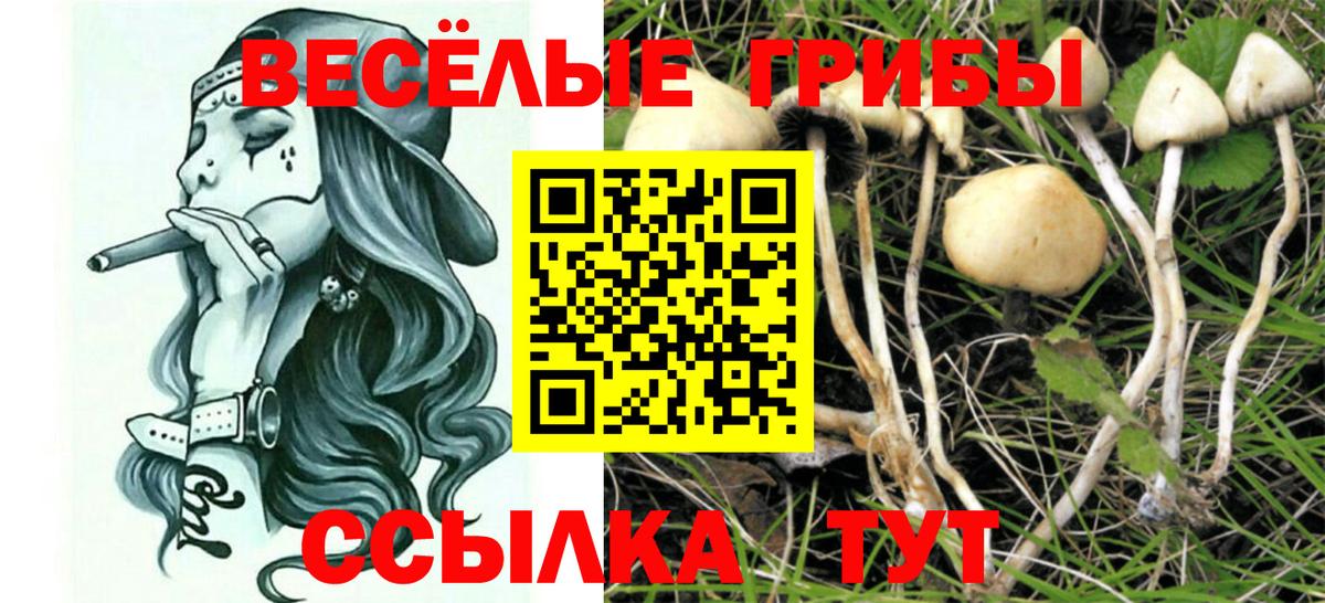 Псилоцибиновые грибы мухоморы Урюпинск